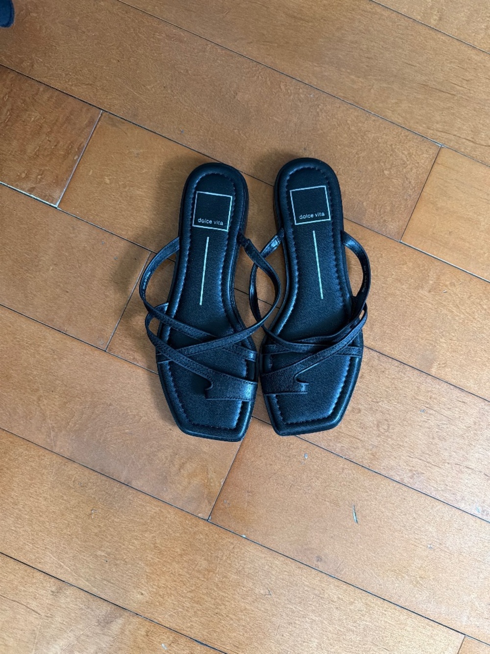 Dolce Vita Indigo Sandal